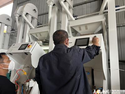 搭乘智慧快车 乡村振兴加“数”前行 碾米机的湘村新生